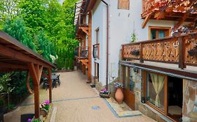 Willa Wincentówka w sercu Uzdrowiska